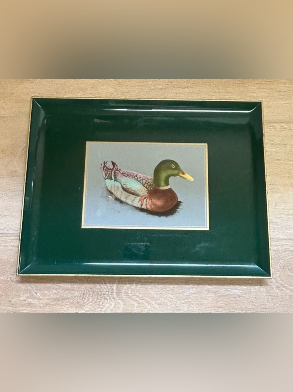 Otagiri Mallard Duck Print in Green, Brown and Yellow
